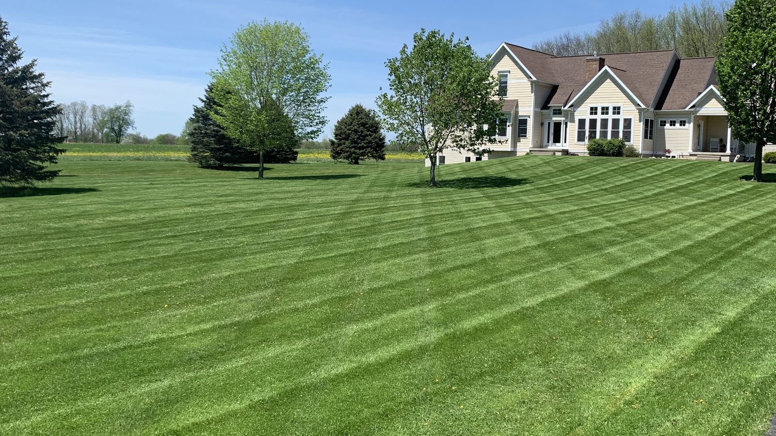 A large home with a freshly mowed, striped lawn and young trees under a blue sky